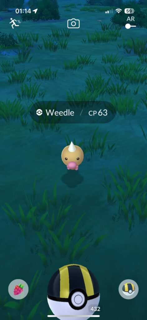 Just occurred to me: Why do you think they call him Weedle?