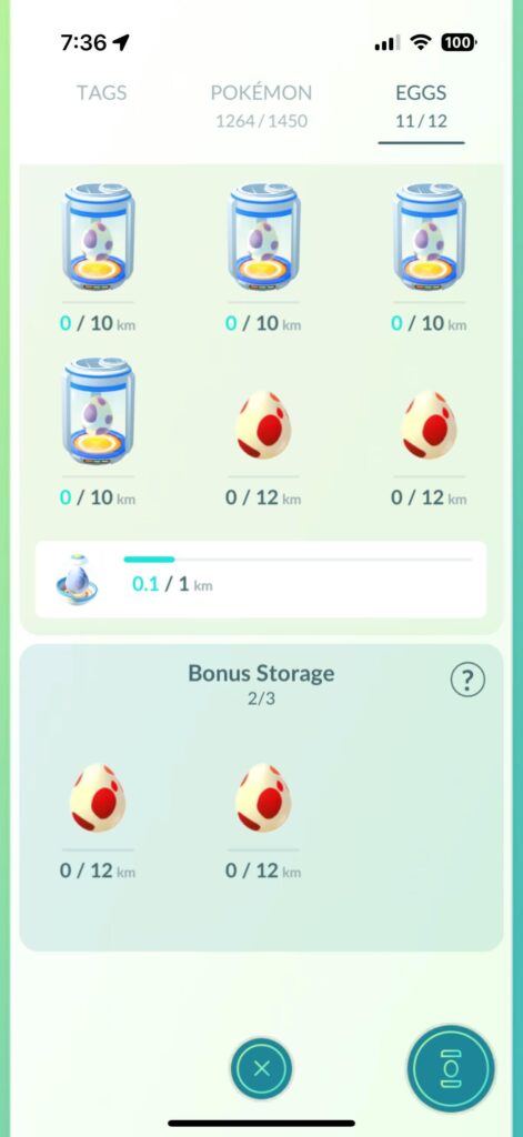 Daily egg takes egg slot