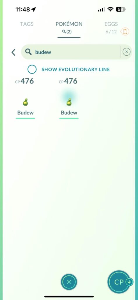 Hatched a budew that had the same stats as my other budew??