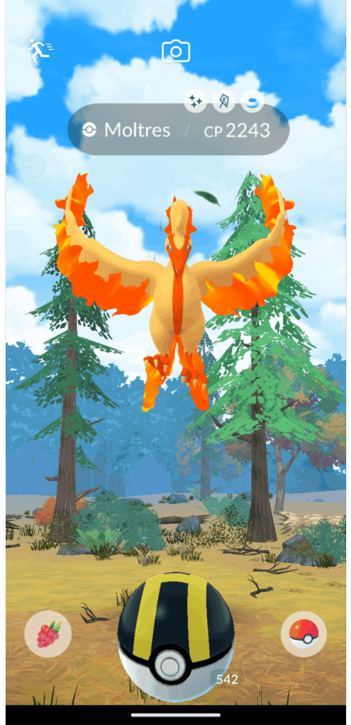 I finally caught it!!!