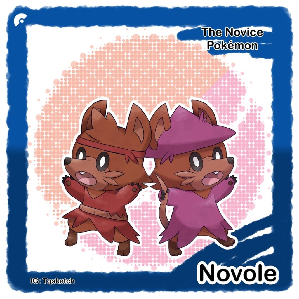 Novole the Novice Pokemon!