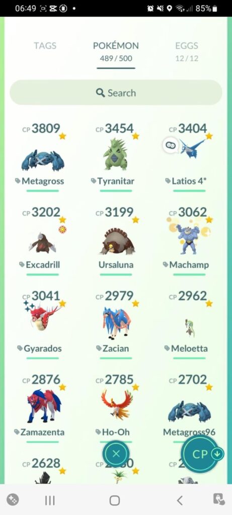 What will be the best party against Maga Rayquaza? And if I should mega evolve the Latios or Metagross?   Pls help