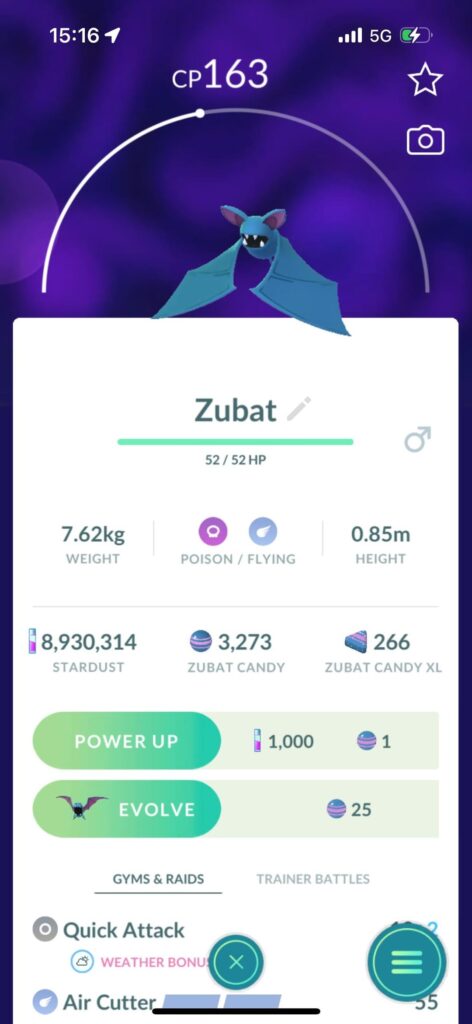 Stardust was stuck in a loop during City Safari Amsterdam