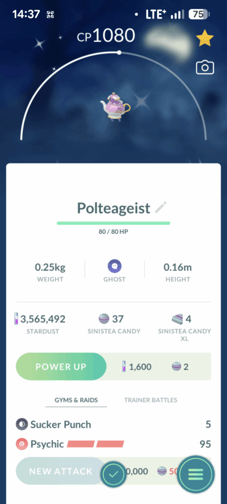 So happy to have One!
