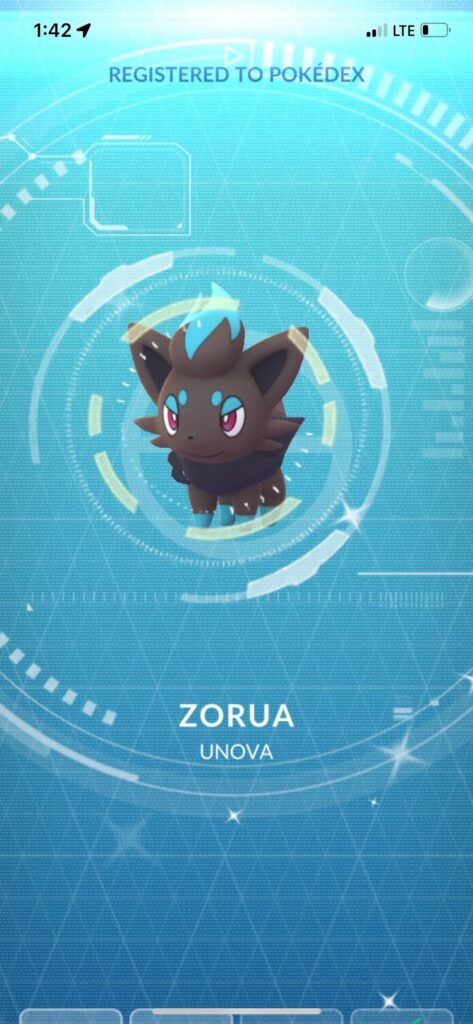 The hunt is over! 659th catch for this tricky little fox.