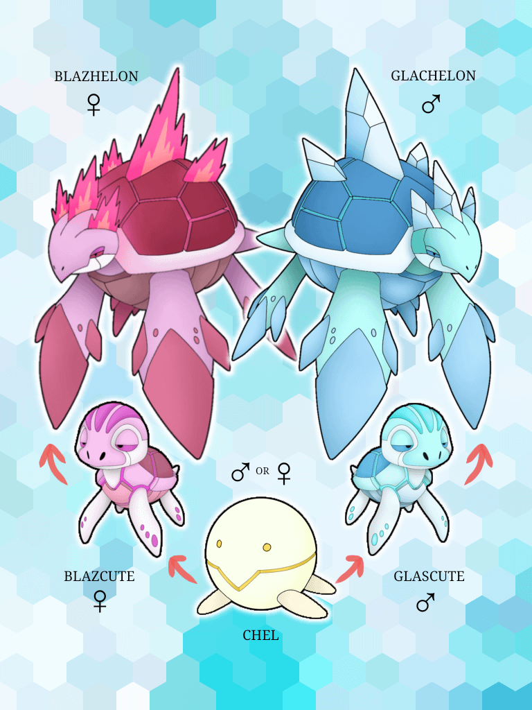 A split evolution depending on gender