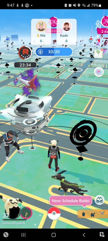 I failed to catch a kitten and TeamRocket Go took over