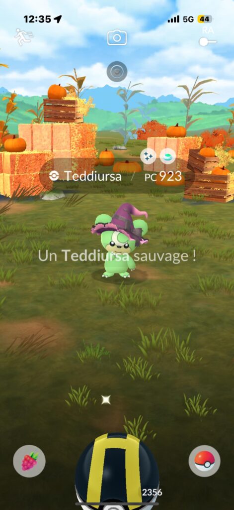 Ditto disguised as Teddiursa
