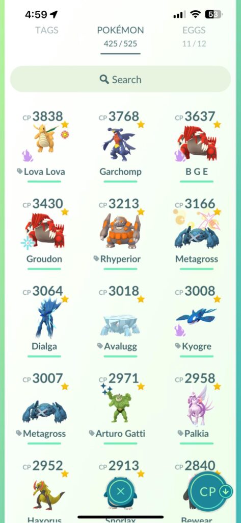 First Rayquaza~ Power up or second move?