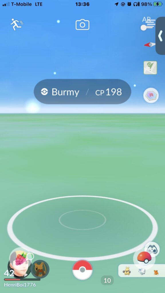 Giant invisible Burmy ready to be caught in the overworld