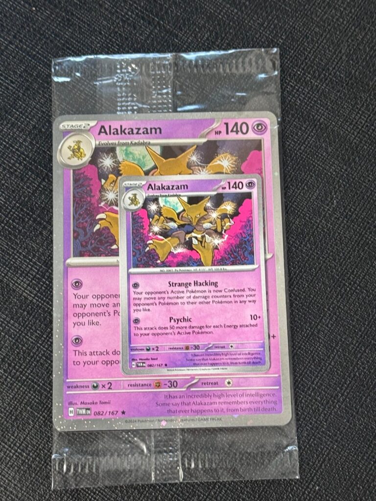 Was trying to post this on eBay any idea what the mini card is?