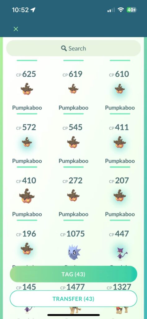 why are all my pumpkaboos different sizes 🤨