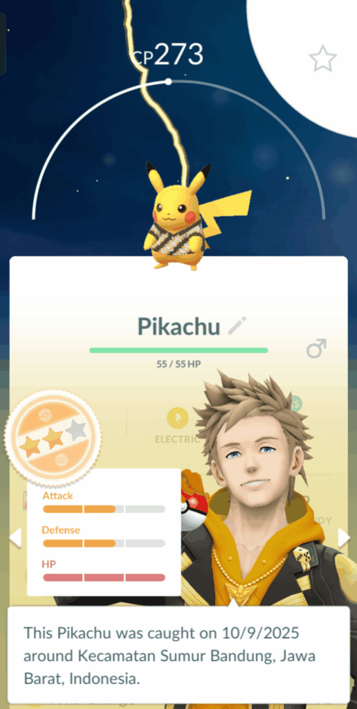 Batik Shirt Pikachu?