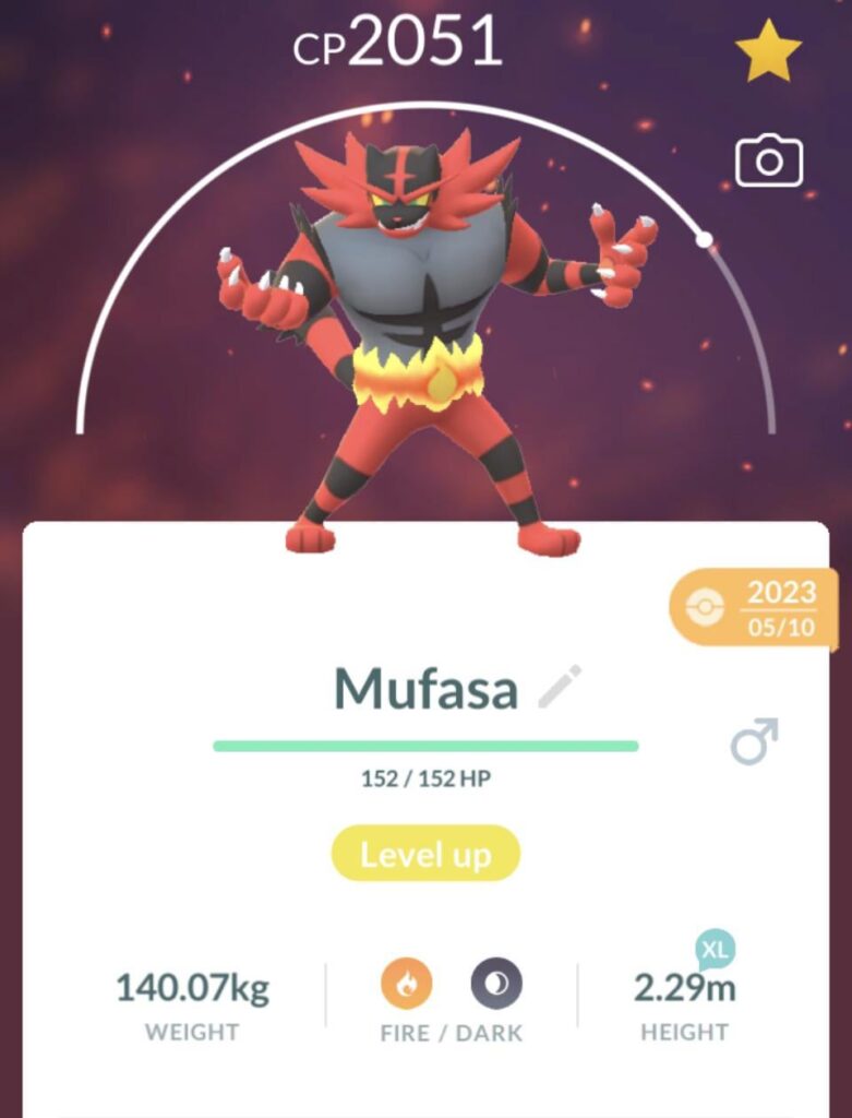 I’m just gonna ignore Pyroar exists and give my overly buff kitty a good name