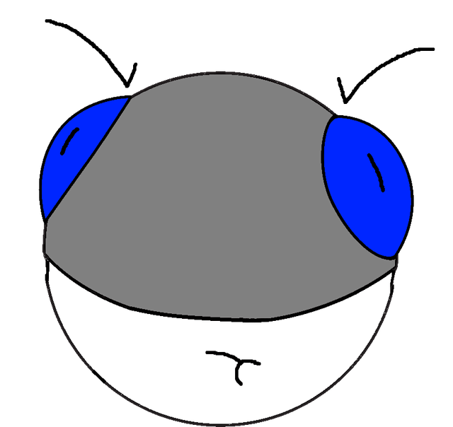 Made a quick doodle of what a Mega Electrode would look like (OC)