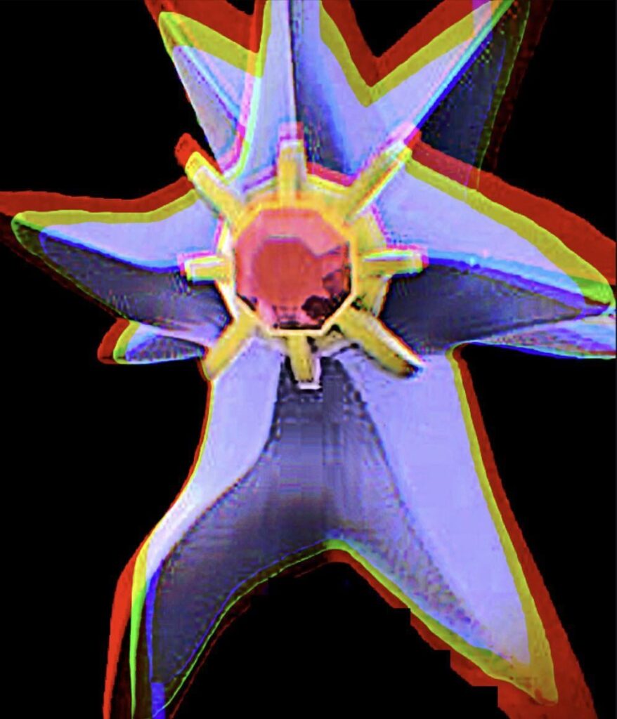 Mega Starmie looks like an adult dressing up for Halloween as Starmie