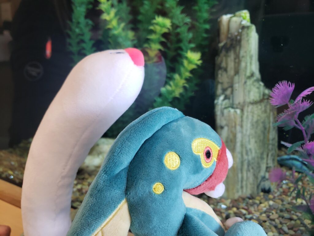 Wormy and Floss (Wiglett/Eelektross) Fish Watching