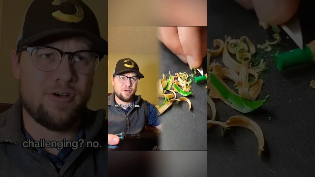 Did he already forget that I am a Pokemon Master?#pokemon#pokemongames#legendarypokeman