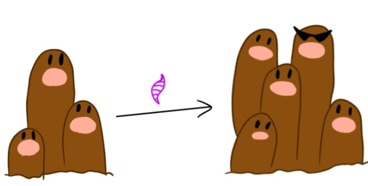 Mega Dugtrio(this is a joke)