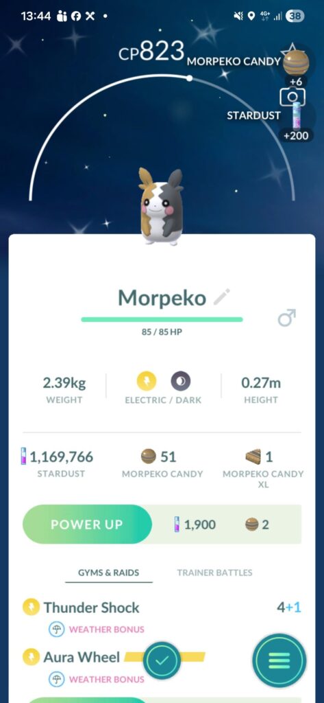 Shiny Morpeko confirmed