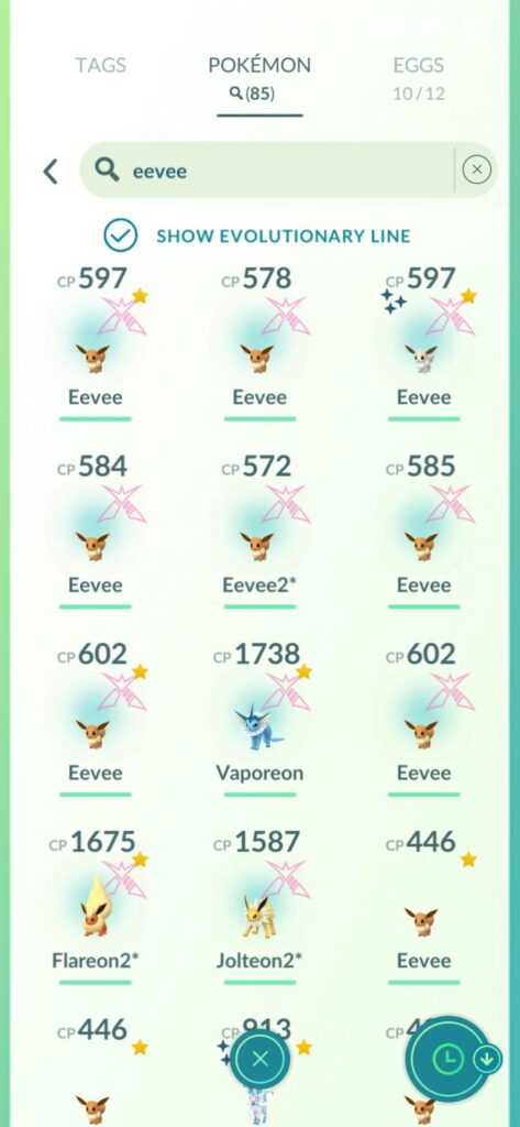 Shiny Dynamax Eevee