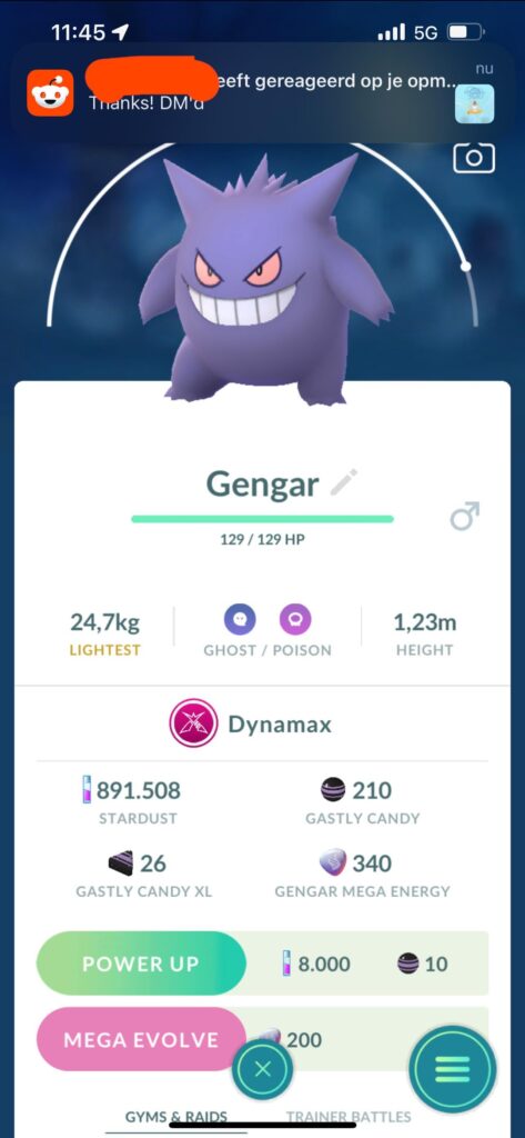 How does DMAX work with Mega evolved PKMN?