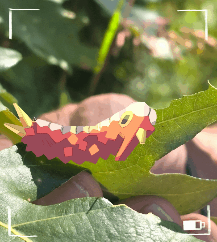 [oc] some bug shots🙂