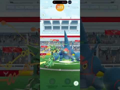Solo Mega Heracross