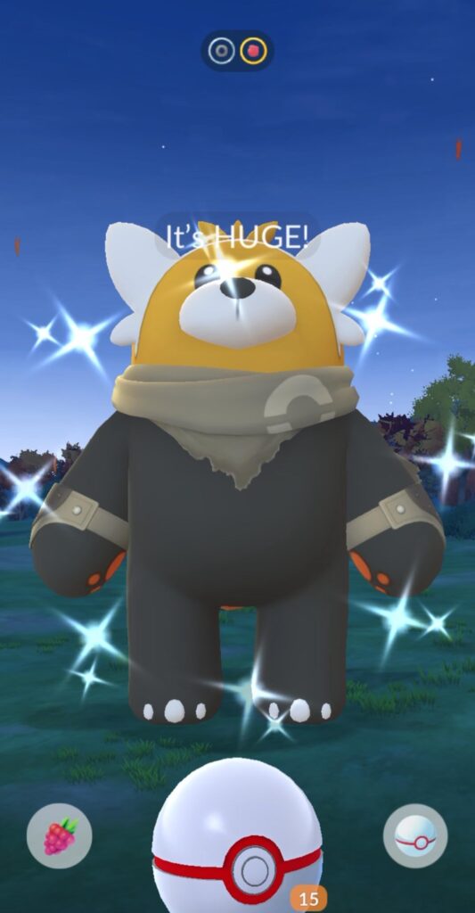 It’s 5am here. I’ve been scrounging every social media platform for a bewear host like a pathetic human to try and get a shiny bewear, and with the LAST one I finally got it after about 50 raids 🥹🥹😭😭 AND it’s huge.