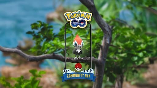 November Community Day: Pikipek