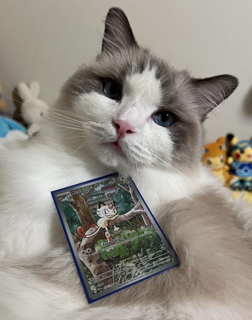 Pulled a cat so it made sense to display it on my cat