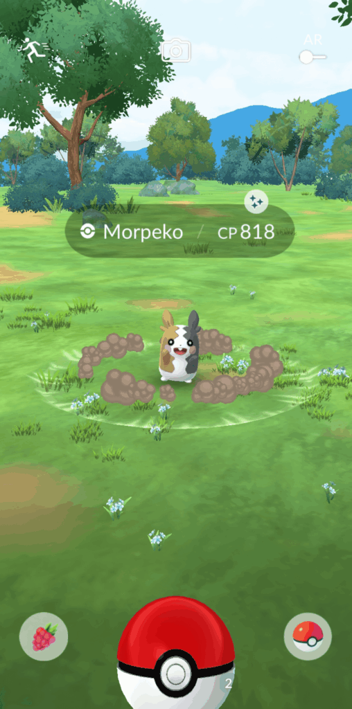 First morpeko encounter of the day