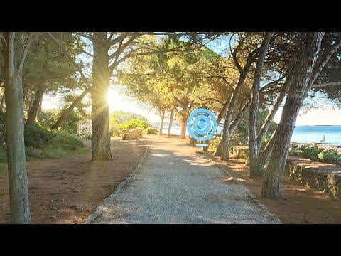 A new Season means new adventures in Pokémon GO...
