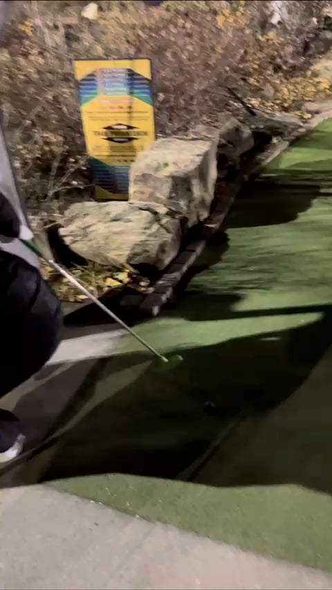 My friends dared me to play minigolf in a Charizard costume yesterday. Was a lot of fun