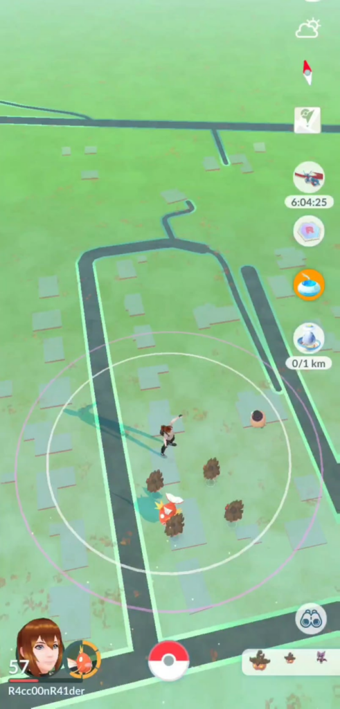 Pumpkaboos in Formation
