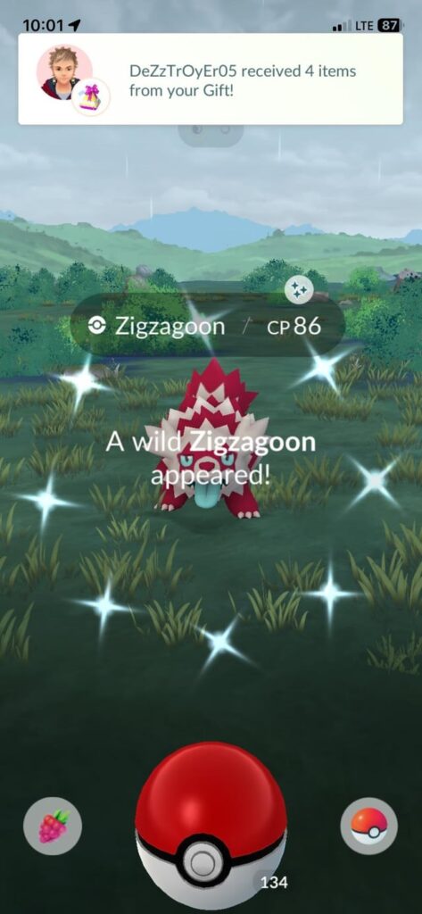 How was your first day of Wild Area 2025?