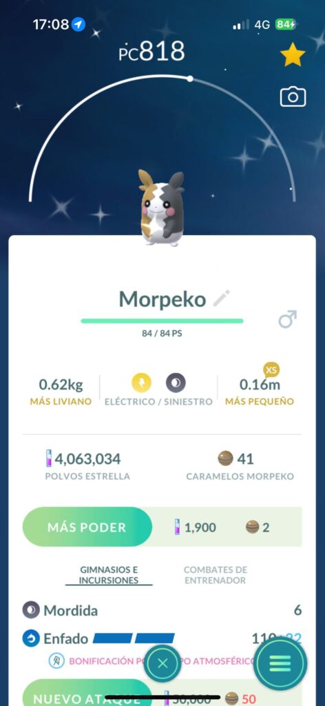 Morpeko Shiny recién estrenado!