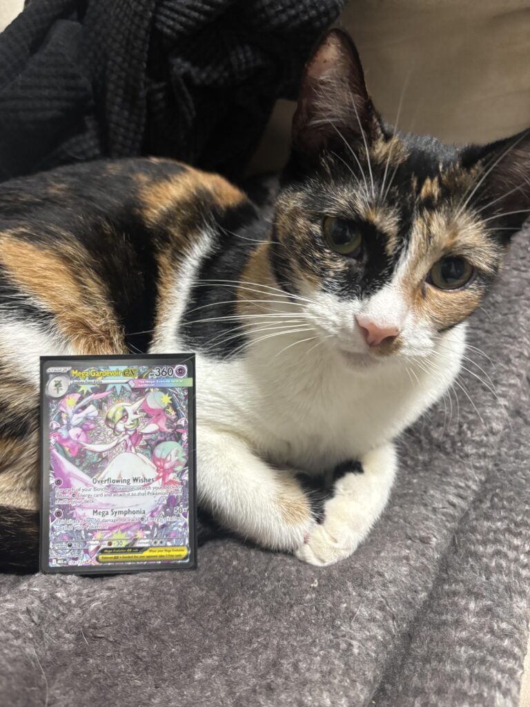 One ETB (Ignore Sally)