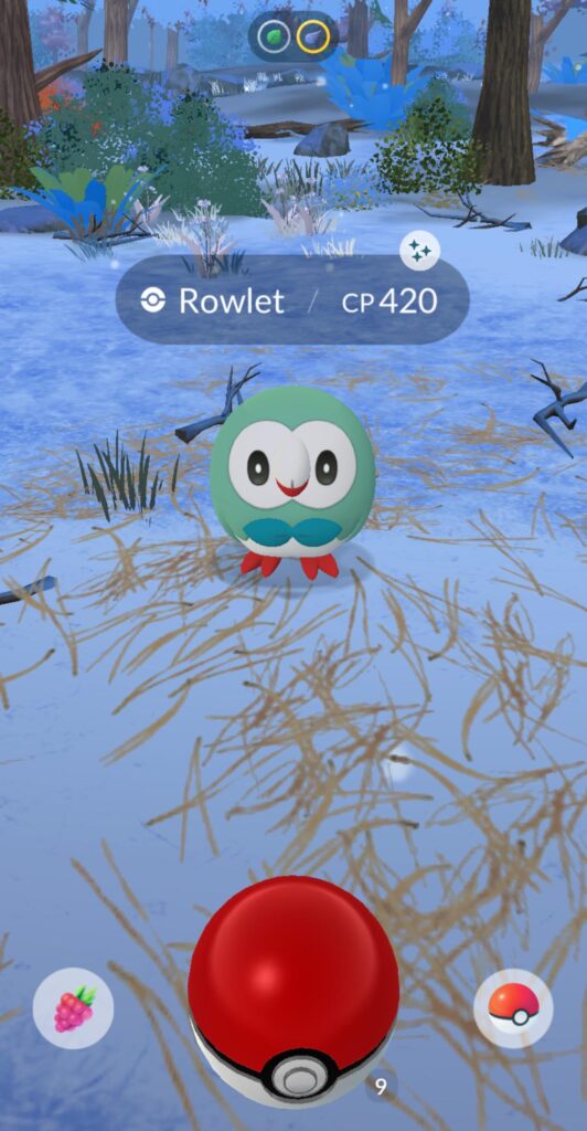 My little stoner owl