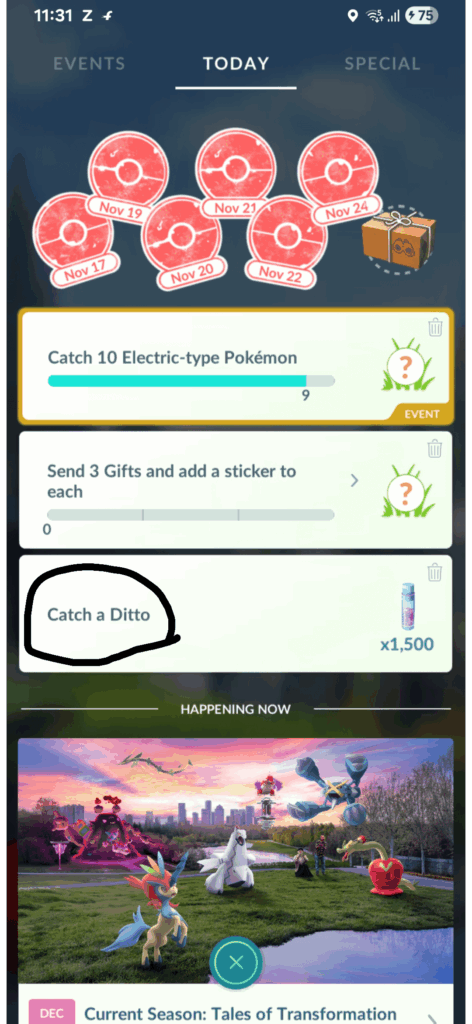 What are they expecting?