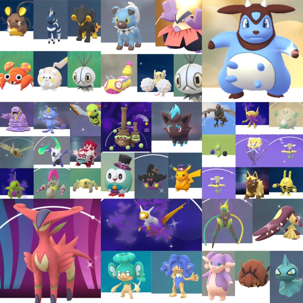 Shiny going to shine ✨🙀