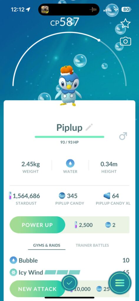 Piplup from daily adventure egg has a costume!