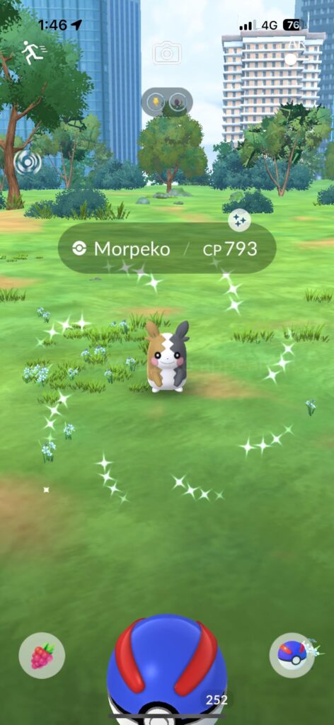 Morpeko shiny confirmation
