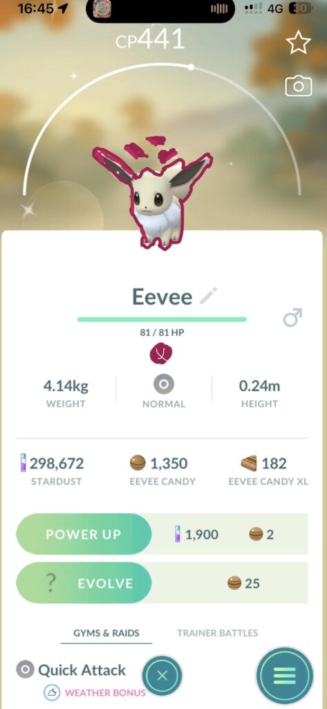Just got a d max shiny eevee
