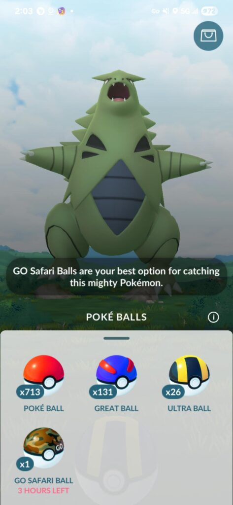 This is a zorua you lying bastards