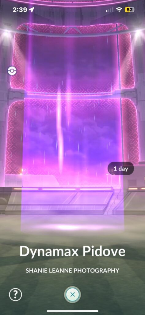 Please help, I can’t do gigantamax/dynamax raids