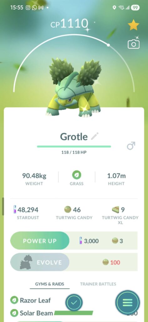 SHINY TURTLE I finally have my first shiny Turtles