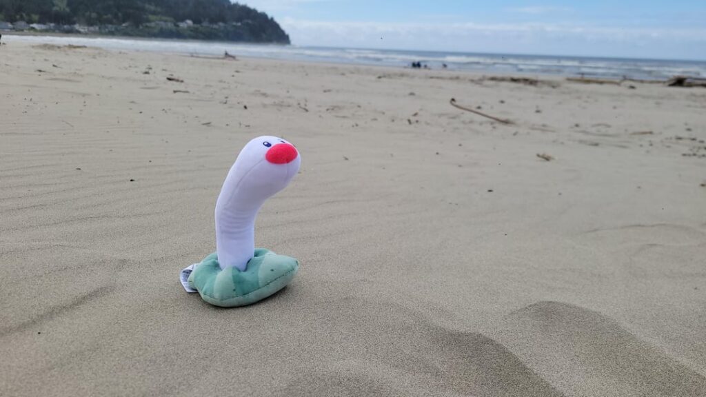 Wormy at the beach (My Wiglett Pokémon)