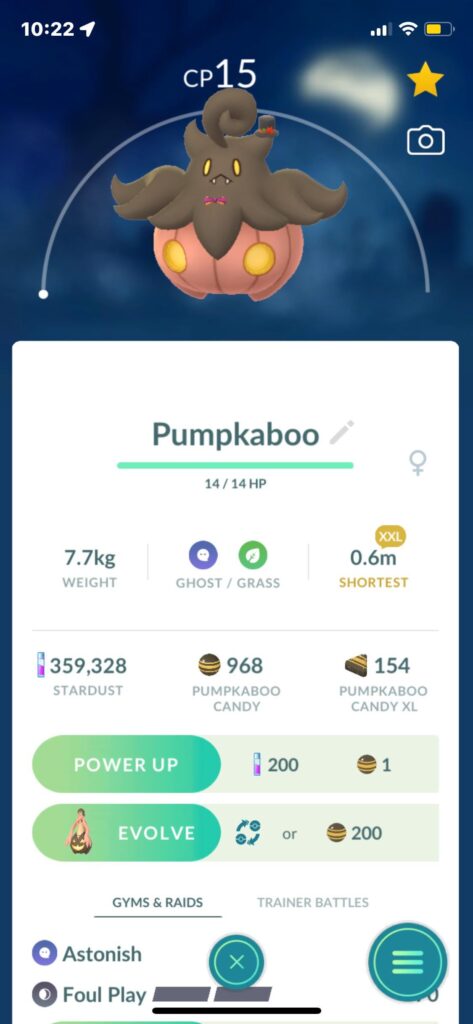 Ur smallest xxl Pumpkaboo?