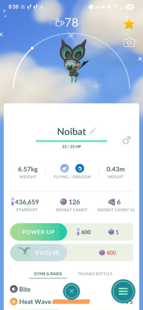 So excited to catch this guy this year. Id been wanting a shiny Noibat for a while eevee and look at his Lil costume.